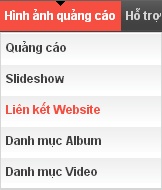 Hướng dẫn tạo liên kết website ngoài trang chính