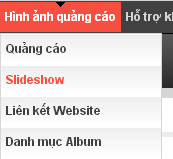 Quản lý slide